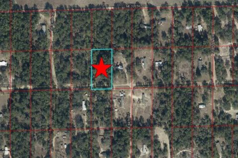 Land in Bronson, Florida № 2165226