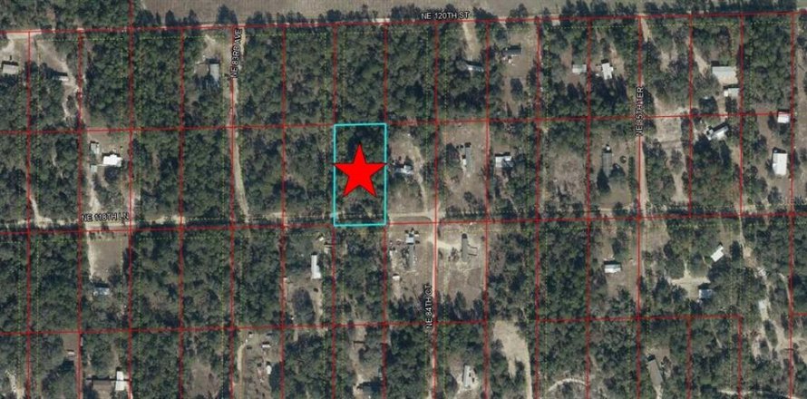 Land in Bronson, Florida № 2165226