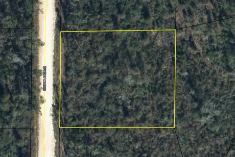 Land in Alford, Florida № 2159569