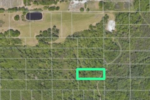 Land in Winter Haven, Florida № 2232770 - photo 3