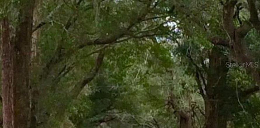 Land in Summerfield, Florida № 1616920