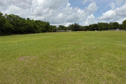 Land in Summerfield, Florida № 1616920 - photo 2