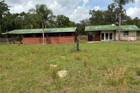 Land in Summerfield, Florida № 1616920 - photo 3