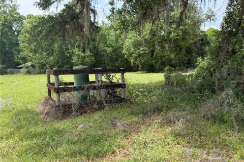 Land in Summerfield, Florida № 1616920 - photo 4