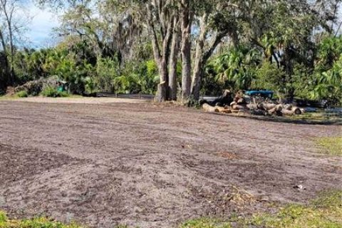 Land in Oak Hill, Florida № 1518576 - photo 14