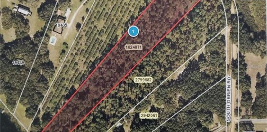 Terreno en Groveland, Florida № 218006