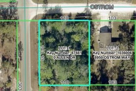 Land in Weeki Wachee, Florida № 2224827 - photo 2
