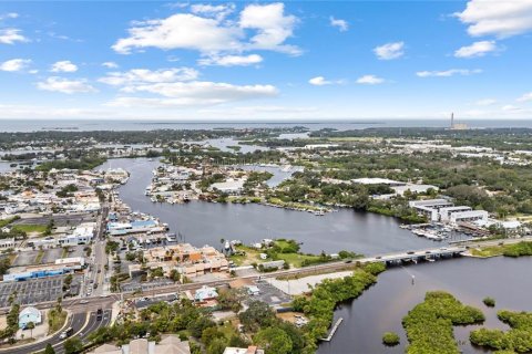 Casa en venta en Tarpon Springs, Florida, 3 dormitorios, 101.45 m2 № 1913714 - foto 9