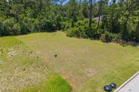 Land in Saint Cloud, Florida № 1810992 - photo 11