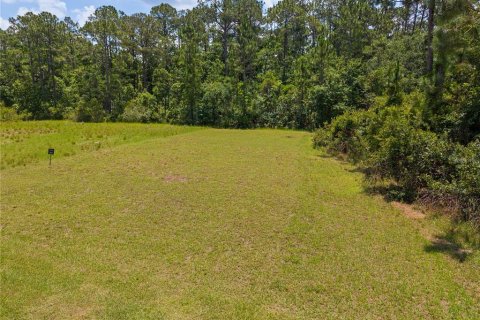 Land in Saint Cloud, Florida № 1810992 - photo 3