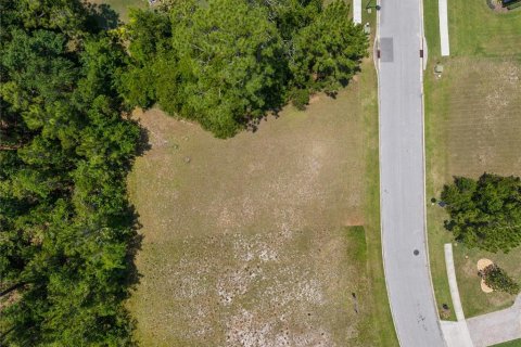 Land in Saint Cloud, Florida № 1810992 - photo 14