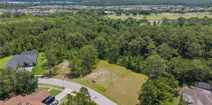 Land in Saint Cloud, Florida № 1810992