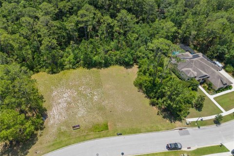 Land in Saint Cloud, Florida № 1810992 - photo 17
