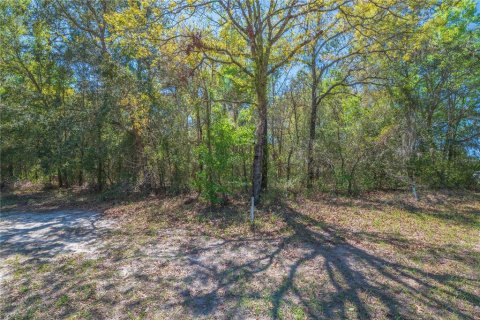 Land in Homosassa, Florida № 2161702 - photo 11