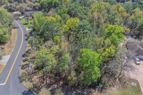 Land in Homosassa, Florida № 2161702 - photo 4