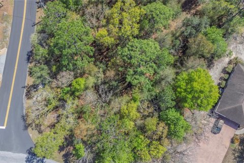 Land in Homosassa, Florida № 2161702 - photo 5