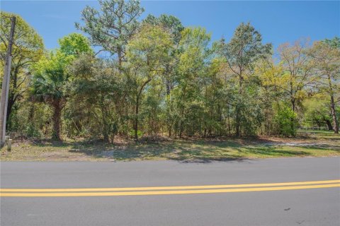 Land in Homosassa, Florida № 2161702 - photo 15