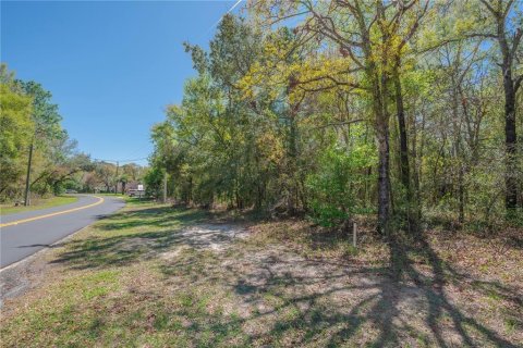 Land in Homosassa, Florida № 2161702 - photo 12