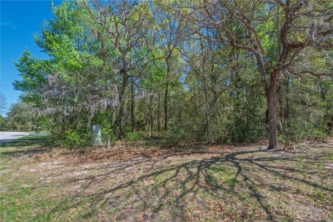 Land in Homosassa, Florida № 2161702 - photo 10