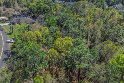 Land in Homosassa, Florida № 2161702 - photo 3