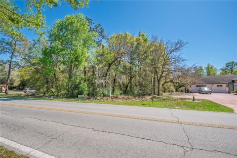 Land in Homosassa, Florida № 2161702 - photo 9