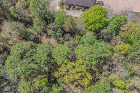 Land in Homosassa, Florida № 2161702 - photo 6