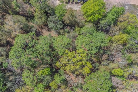 Land in Homosassa, Florida № 2161702 - photo 7