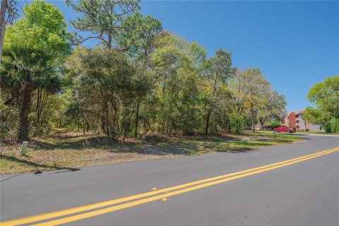 Land in Homosassa, Florida № 2161702 - photo 14