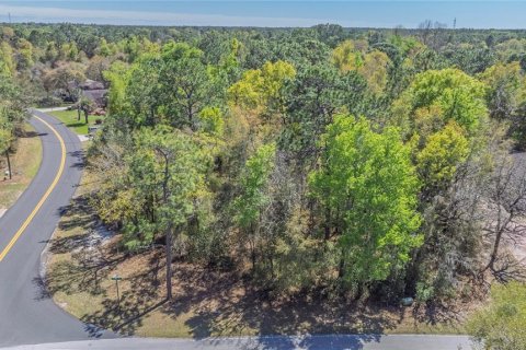 Land in Homosassa, Florida № 2161702 - photo 2