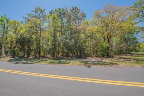 Land in Homosassa, Florida № 2161702 - photo 13