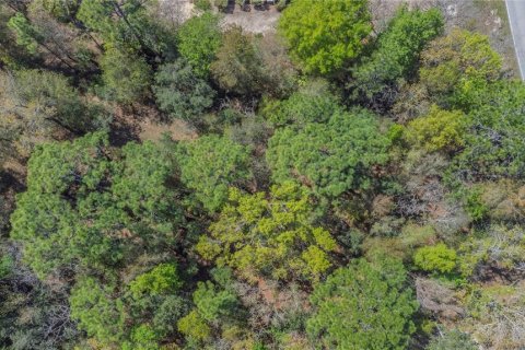 Land in Homosassa, Florida № 2161702 - photo 8