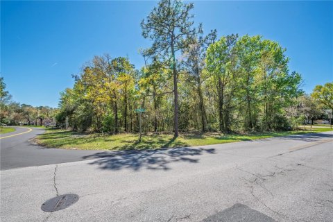 Land in Homosassa, Florida № 2161702