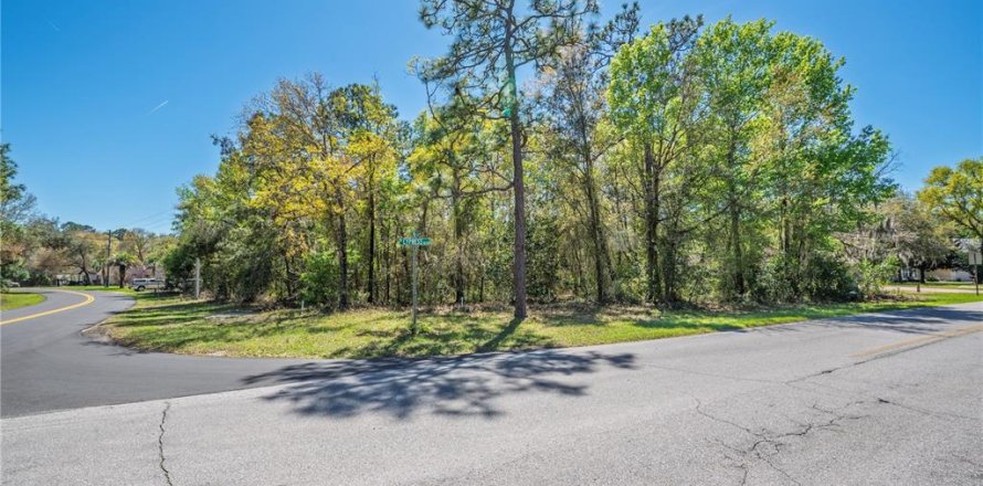 Land in Homosassa, Florida № 2161702