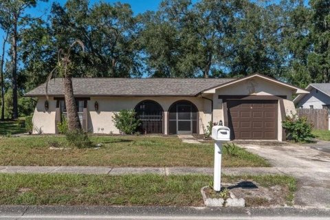 Villa ou maison à Hudson, Floride 2 chambres, 95.32 m2 № 2416566