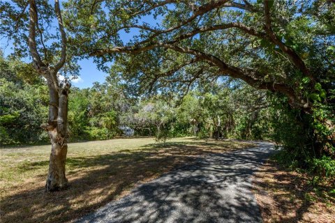 Land in Tampa, Florida № 875170 - photo 24