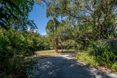 Land in Tampa, Florida № 875170 - photo 25