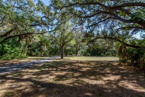 Land in Tampa, Florida № 875170 - photo 23