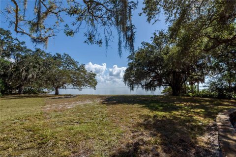 Land in Tampa, Florida № 875170 - photo 12