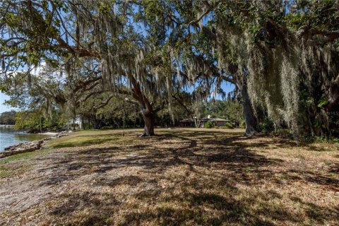 Land in Tampa, Florida № 875170 - photo 10