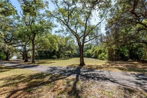 Land in Tampa, Florida № 875170 - photo 21