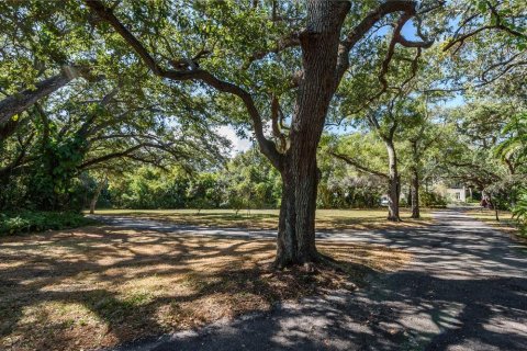 Land in Tampa, Florida № 875170 - photo 19
