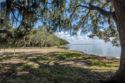 Land in Tampa, Florida № 875170 - photo 3