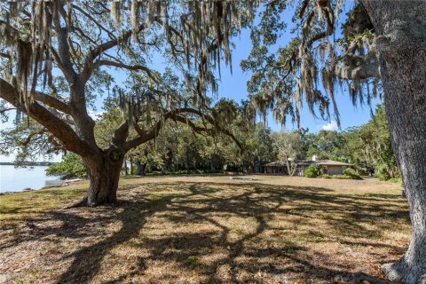 Land in Tampa, Florida № 875170 - photo 11