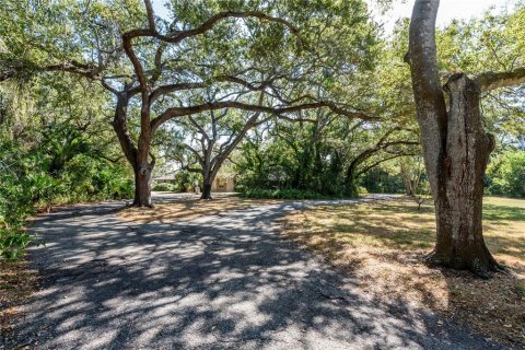 Land in Tampa, Florida № 875170 - photo 20