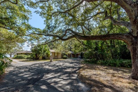 Land in Tampa, Florida № 875170 - photo 27