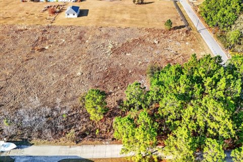 Terreno en Polk City, Florida № 2206736