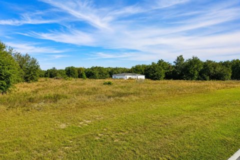 Land in Ocklawaha, Florida № 2344646