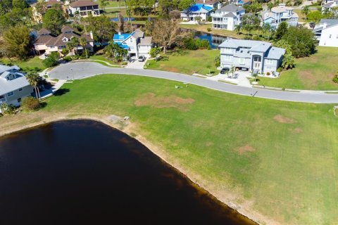 Land in Tarpon Springs, Florida № 1776578 - photo 5
