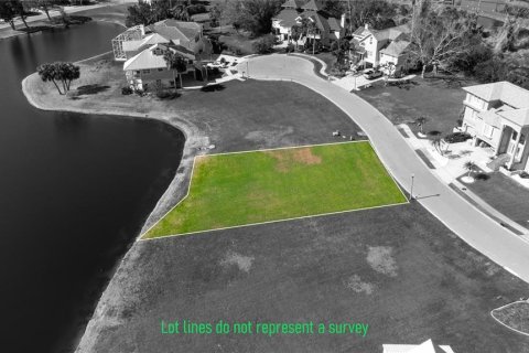 Land in Tarpon Springs, Florida № 1776578 - photo 9