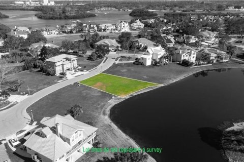 Land in Tarpon Springs, Florida № 1776578 - photo 17